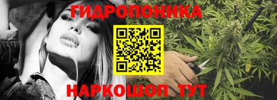 первитин Новодвинск